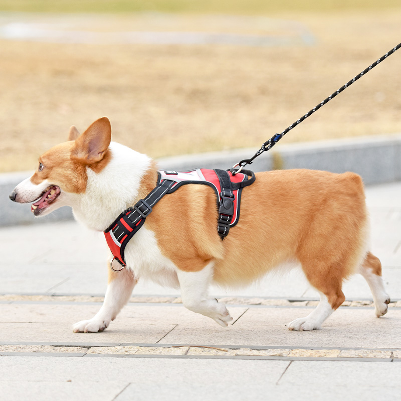 犬 ハーネス シームレス快適ハーネス