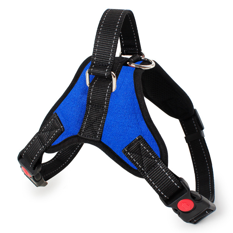 https://fulmo-img-server.com/wonderfulharness/e63dd703-c66f-4eb2-9f57-f2fc1a7cf902.jpg