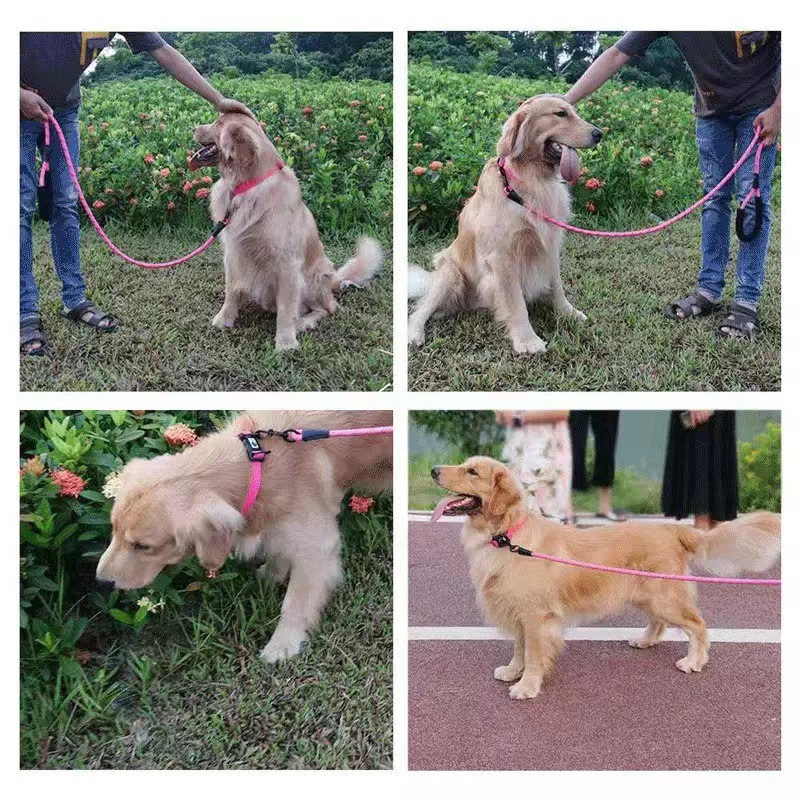 犬 ハーネス やさしい装着ハーネス 包み込みタイプ
