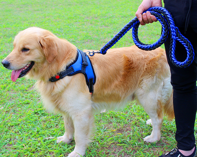 犬 ハーネス 職人手編み散歩ハーネス