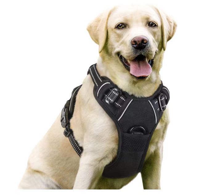 犬 ハーネス 快適フィット アクティブハーネス
