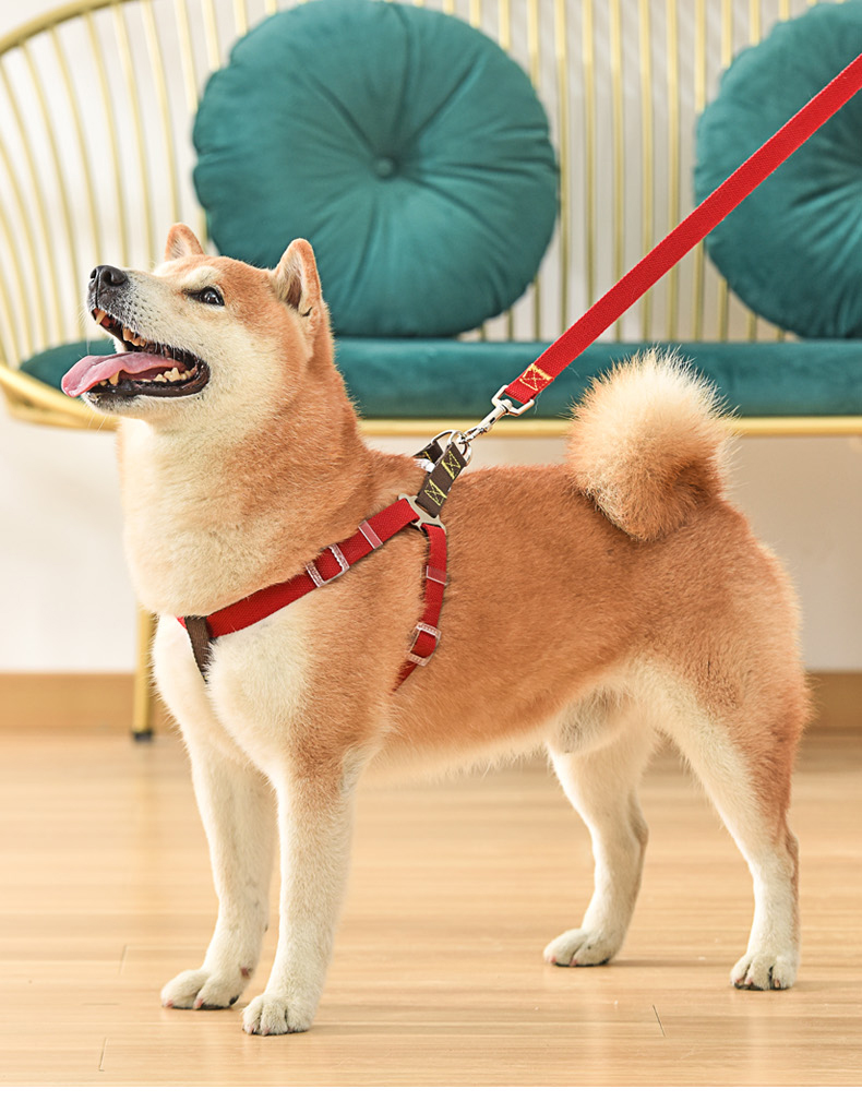 犬 ハーネス やさしさ包む シンプル基本ハーネス