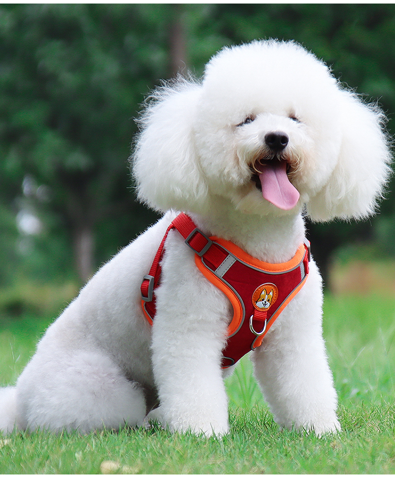 犬 ハーネス やさしい散歩ハーネス＆リードセット