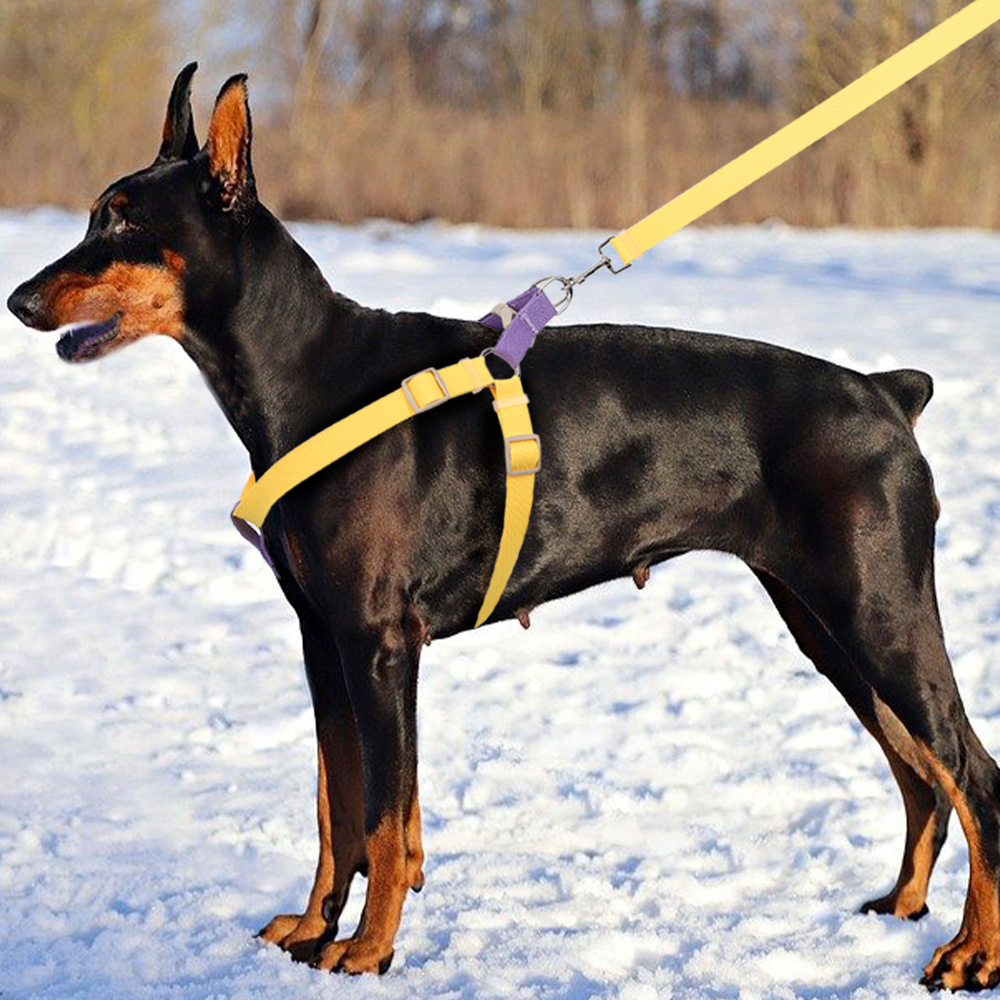 犬 ハーネス なめらか軽やか コンフォートハーネスセット