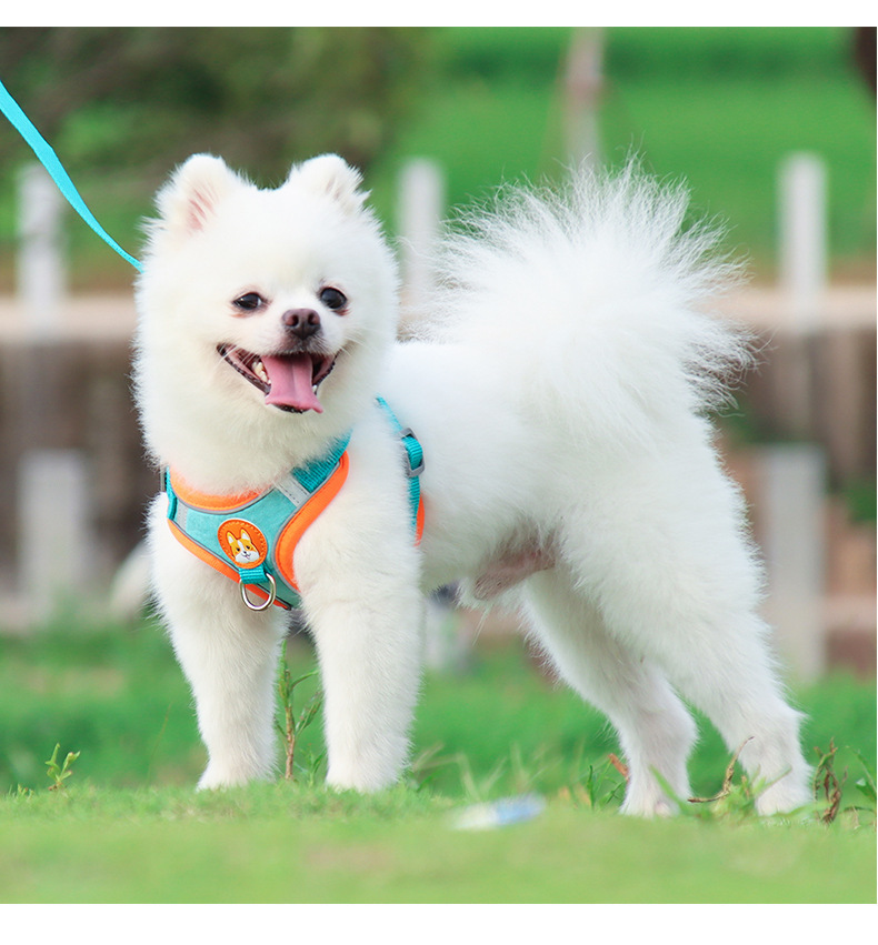 犬 ハーネス なめらか安心ハーネス