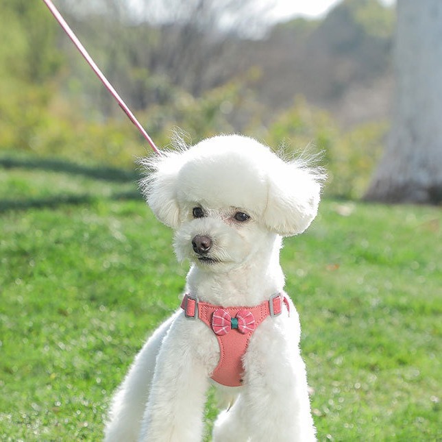 犬 ハーネス 上品リボンハーネス