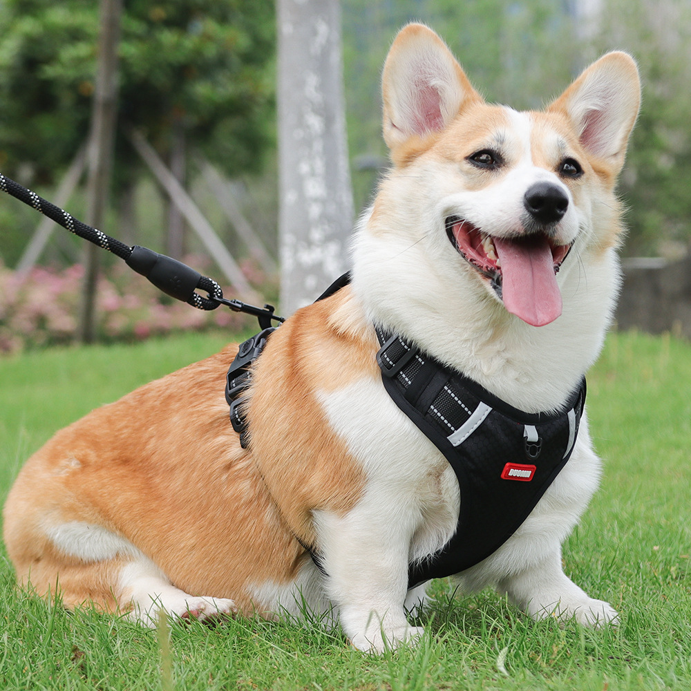 犬 ハーネス ゆとりの散歩ハーネス