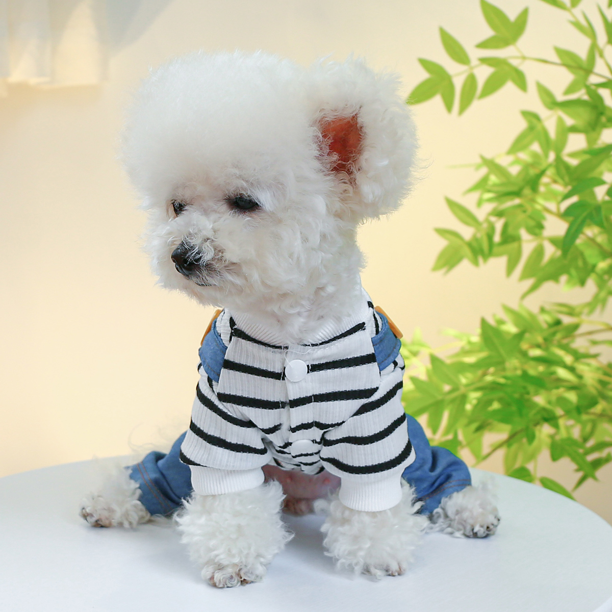 犬 ハーネス 生成エラーです