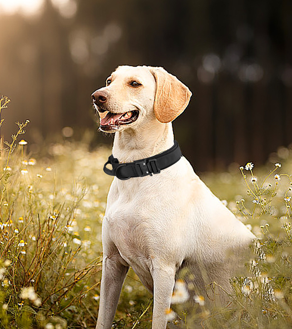 犬 ハーネス 柔らか革紐ハーネス