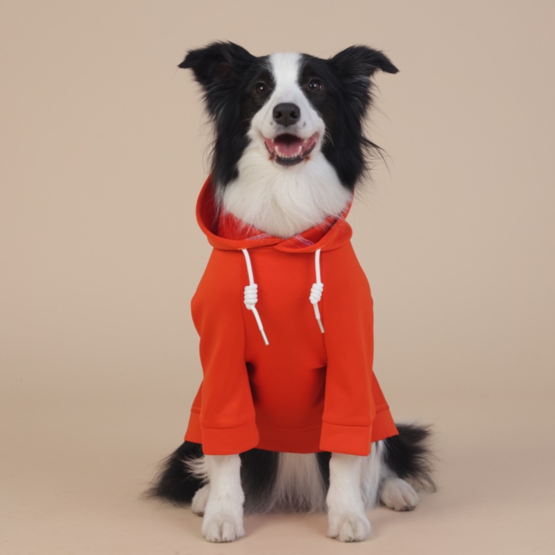 犬 ハーネス シンプルデザイン