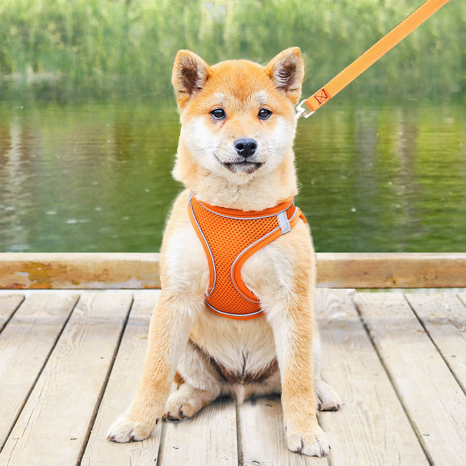 犬 ハーネス メッシュ通気性ハーネス 快適スタイル