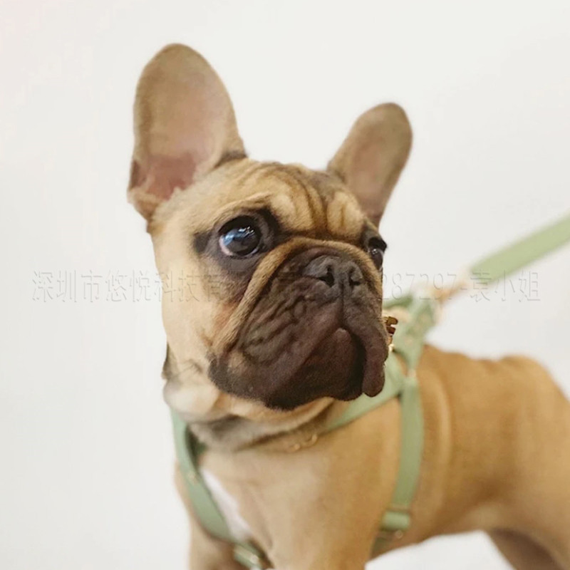 犬 ハーネス なめらか上質革ハーネス