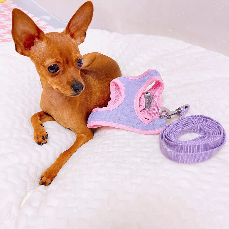 犬 ハーネス やさしさ包むふんわり首輪