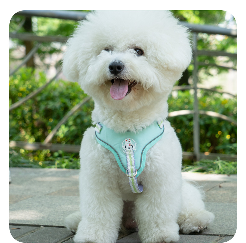 犬 ハーネス ふんわり包み込むやさしいハーネス