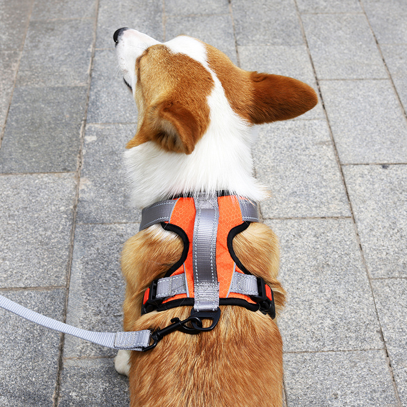 犬 ハーネス やさしさ包む 軽量メッシュハーネス