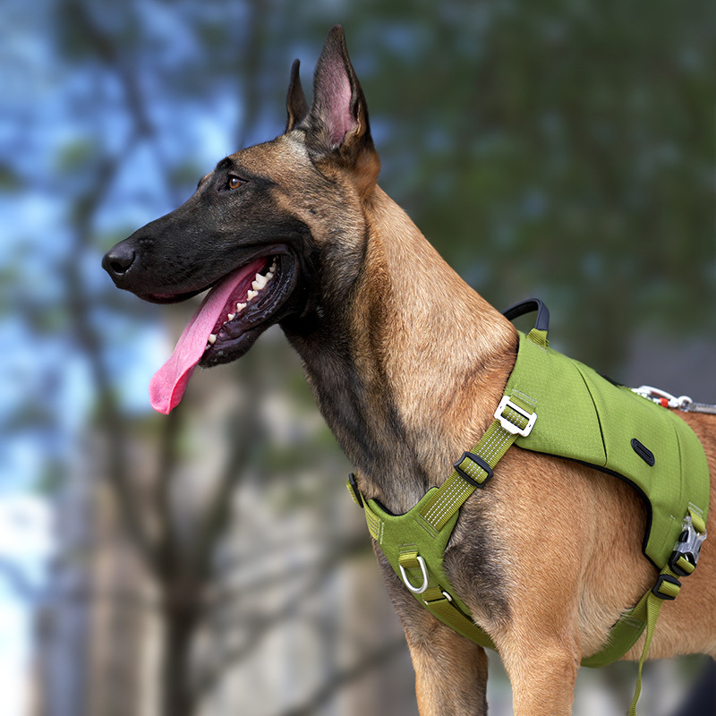 犬 ハーネス アウトドア機能派 全天候型ハーネス