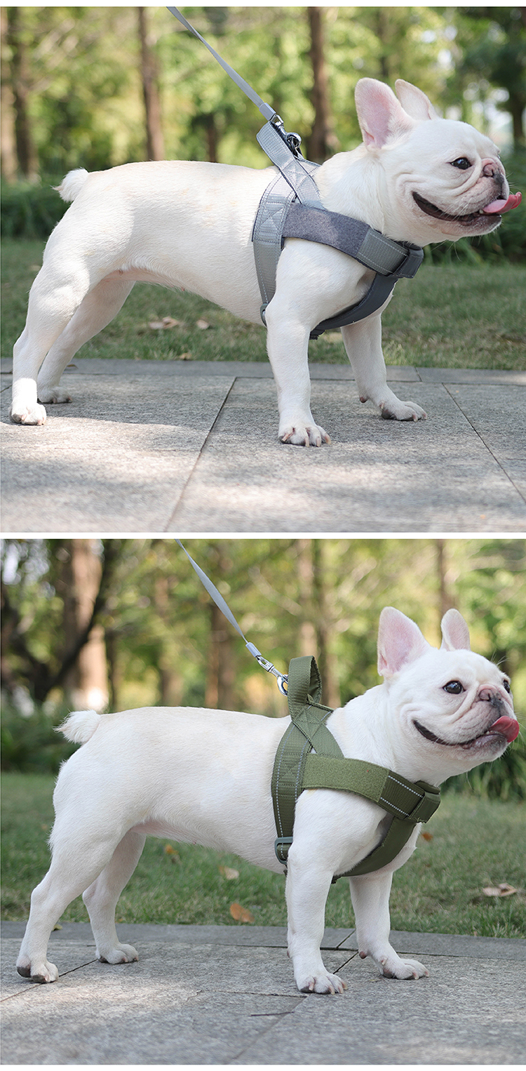 犬 ハーネス フィット感抜群 軽量ハーネス