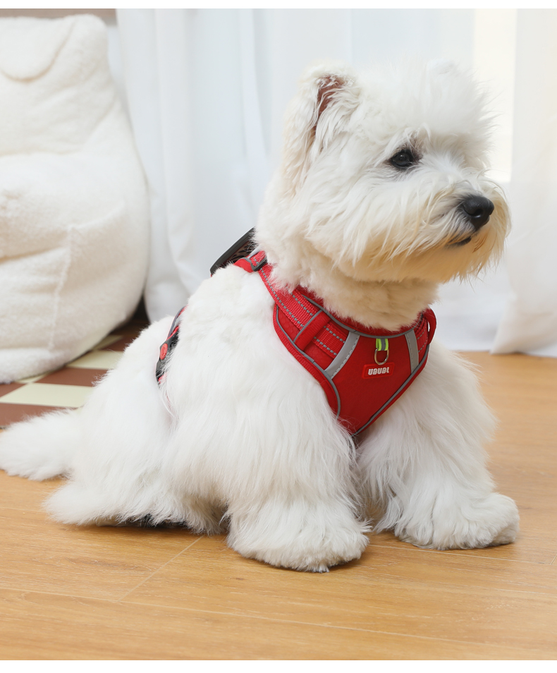 犬 ハーネス しなやか軽量 ペット用胴輪