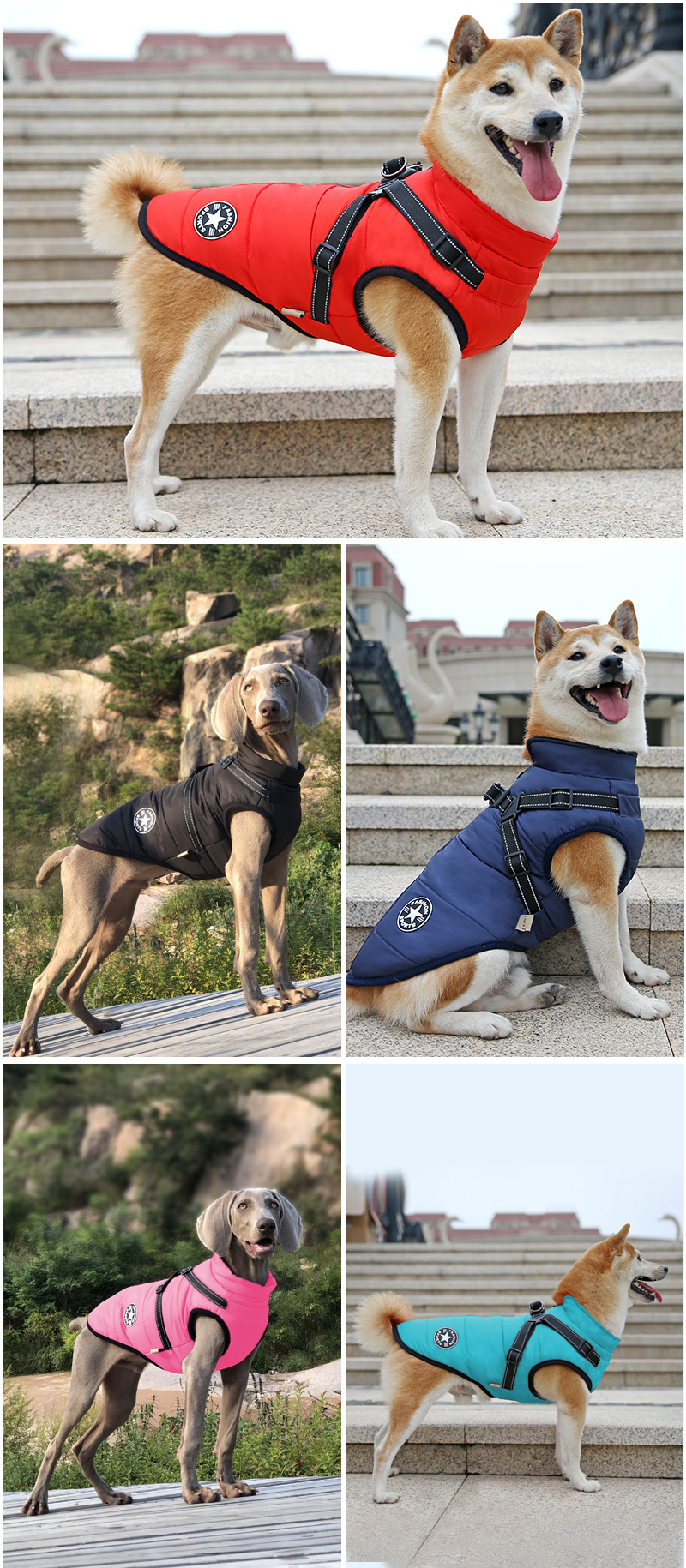 犬 ハーネス 雪山用アウトドアハーネス