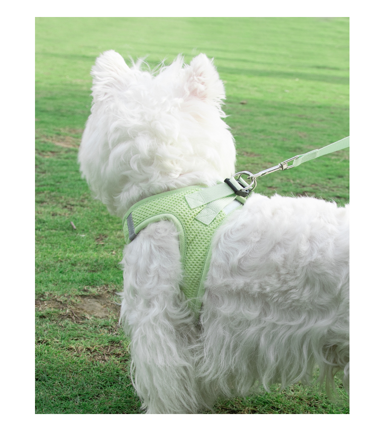 犬 ハーネス やわらか メッシュ ハーネス