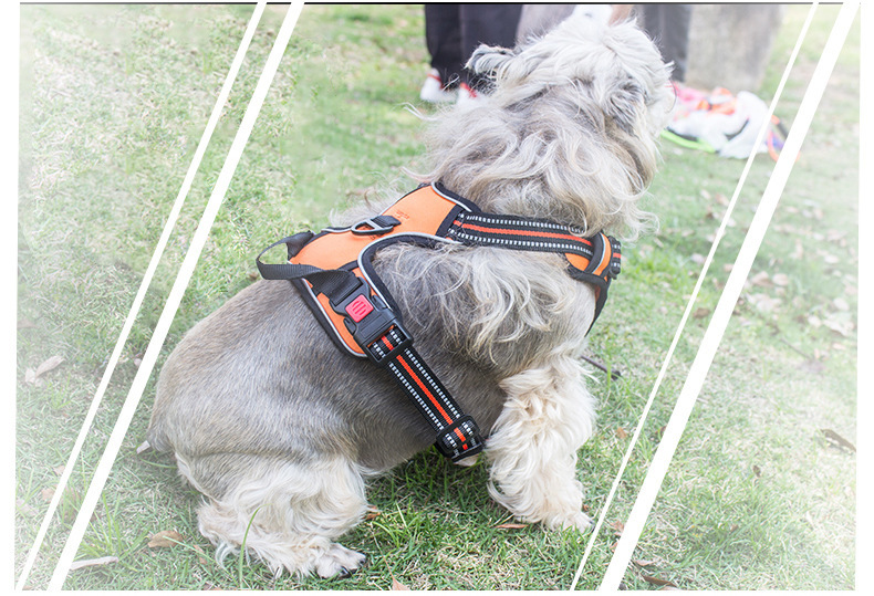 犬 ハーネス メッシュフィット 快適ハーネス