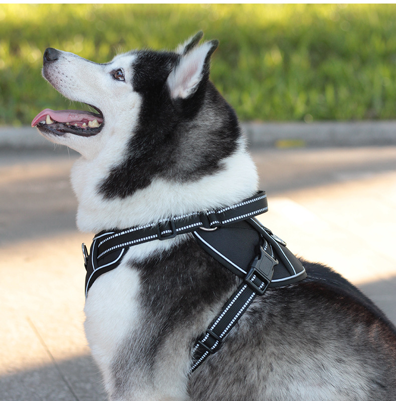 犬 ハーネス やさしフィットメッシュハーネス