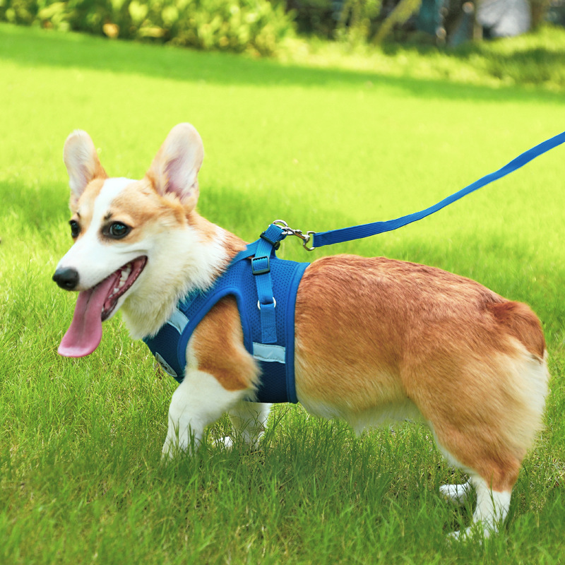犬 ハーネス やさしさハグハーネス