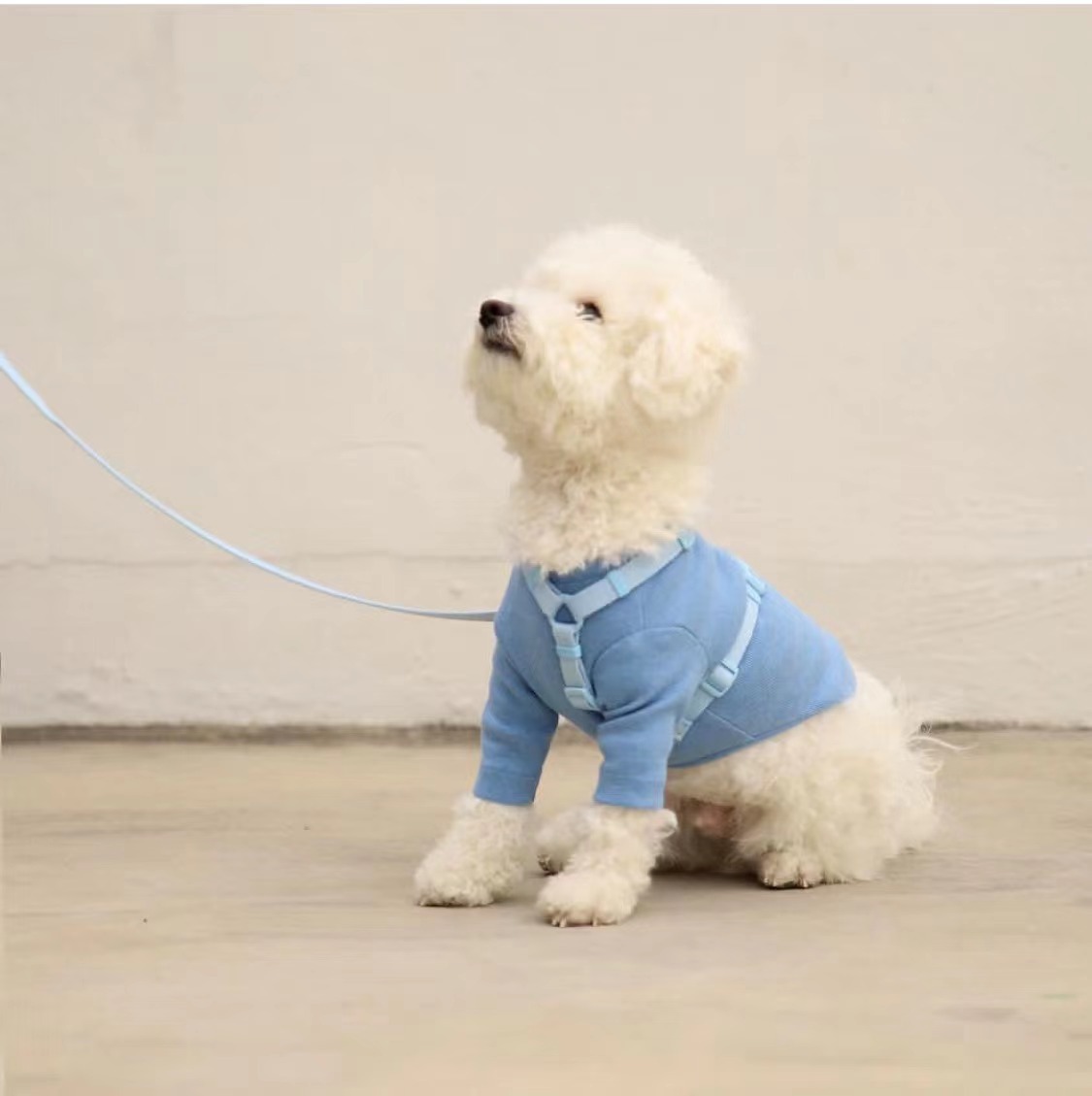 犬 ハーネス なめらかスタンダードハーネス