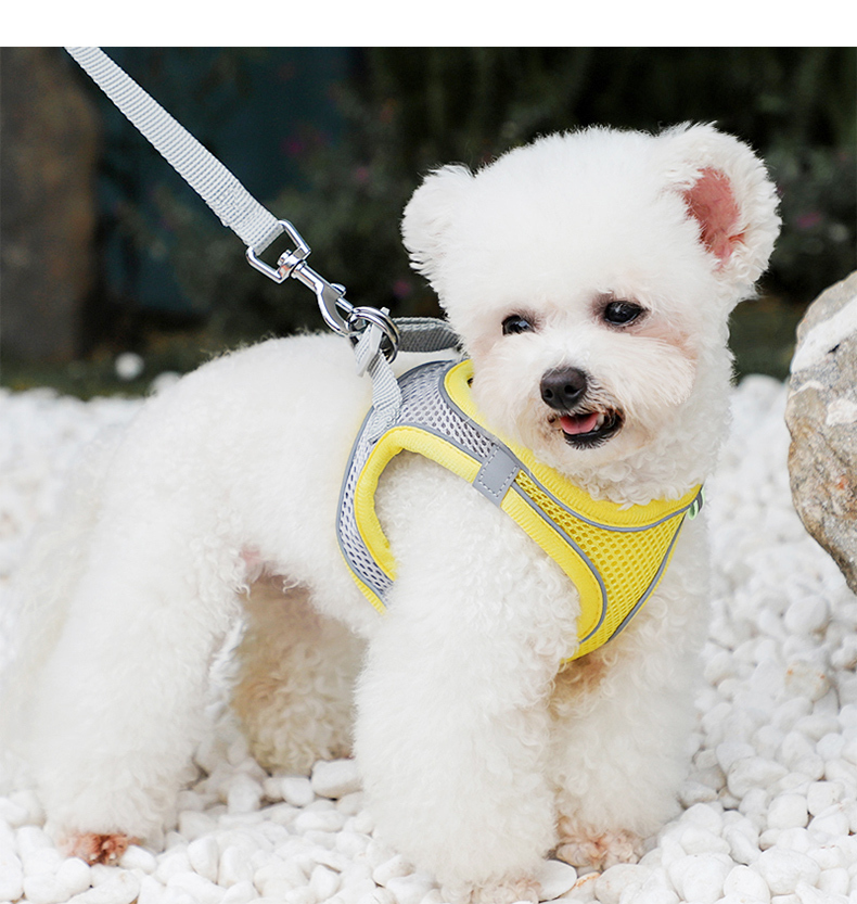 犬 ハーネス メッシュ素材ソフトハーネス