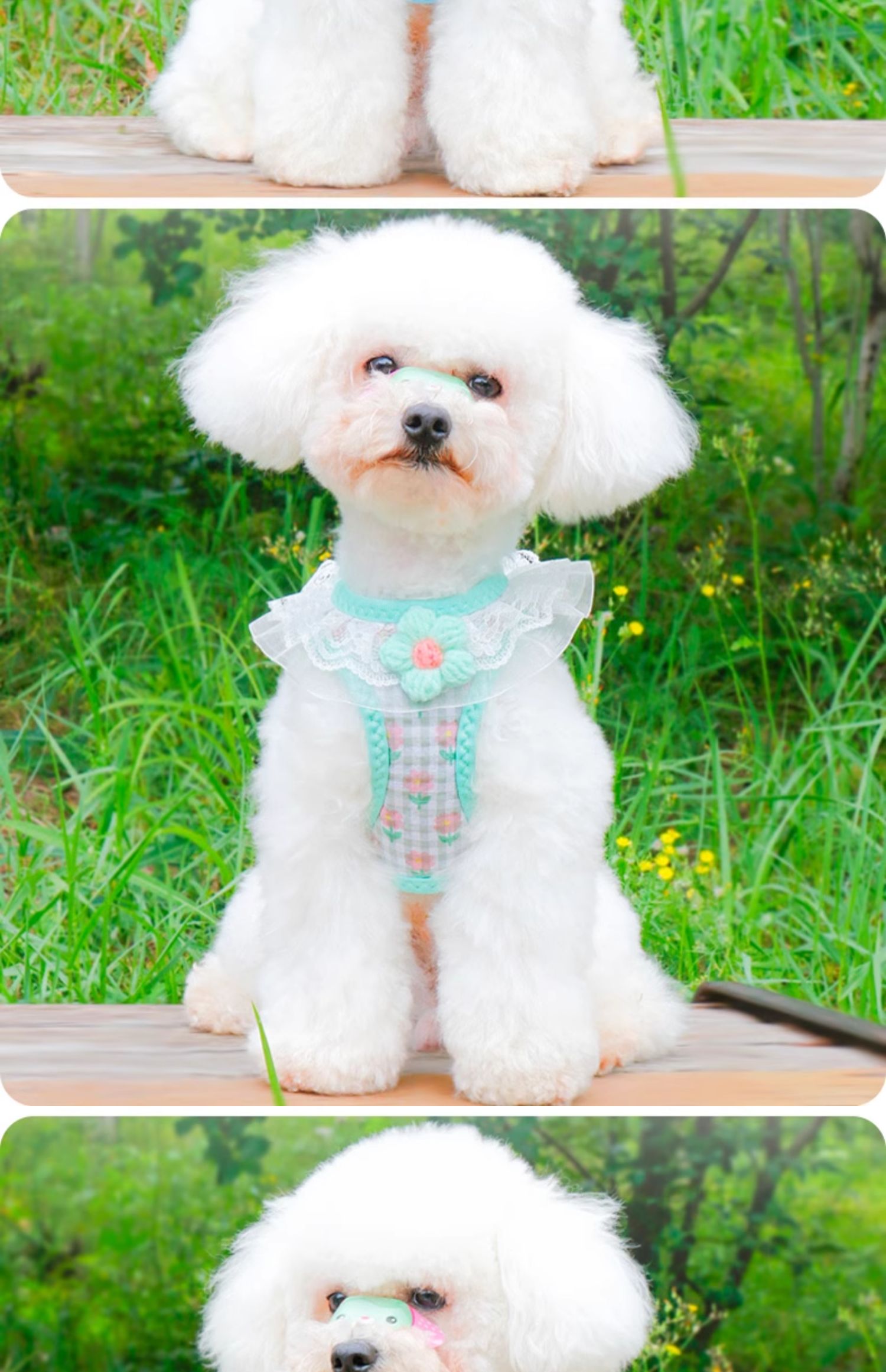 犬 ハーネス 優美な花レースフリルハーネス