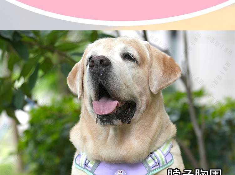 犬 ハーネス シンプル機能美 リラックスハーネス