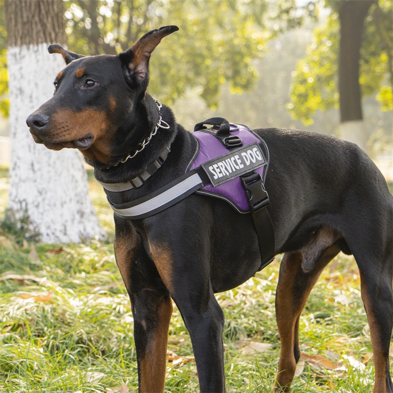 犬 ハーネス 介助犬用ソフトフィットハーネス