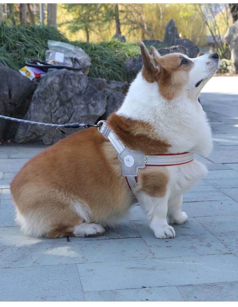 犬 ハーネス やさしい着け心地 散歩ハーネス