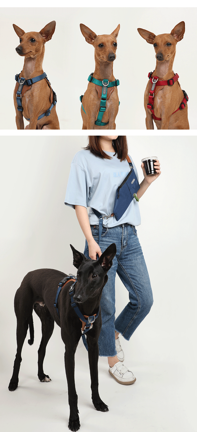犬 ハーネス リラックスフィット 散歩用ハーネス