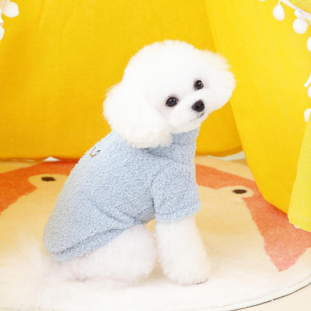 犬 ハーネス 生成エラーです
