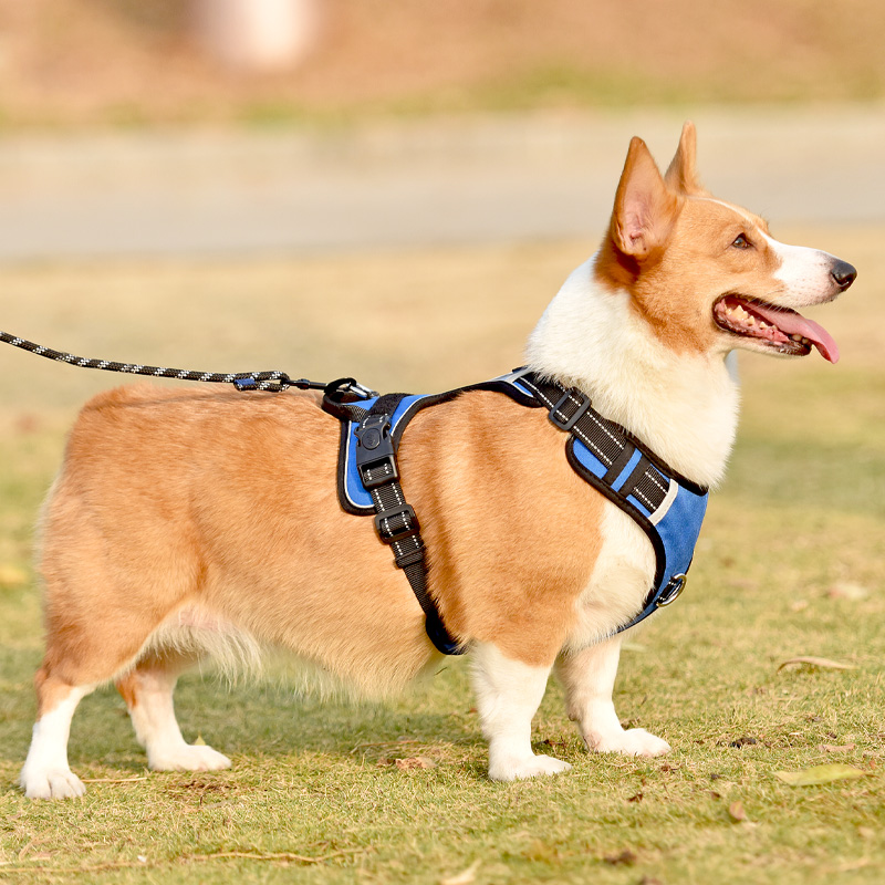 犬 ハーネス ペット職人の匠ハーネス