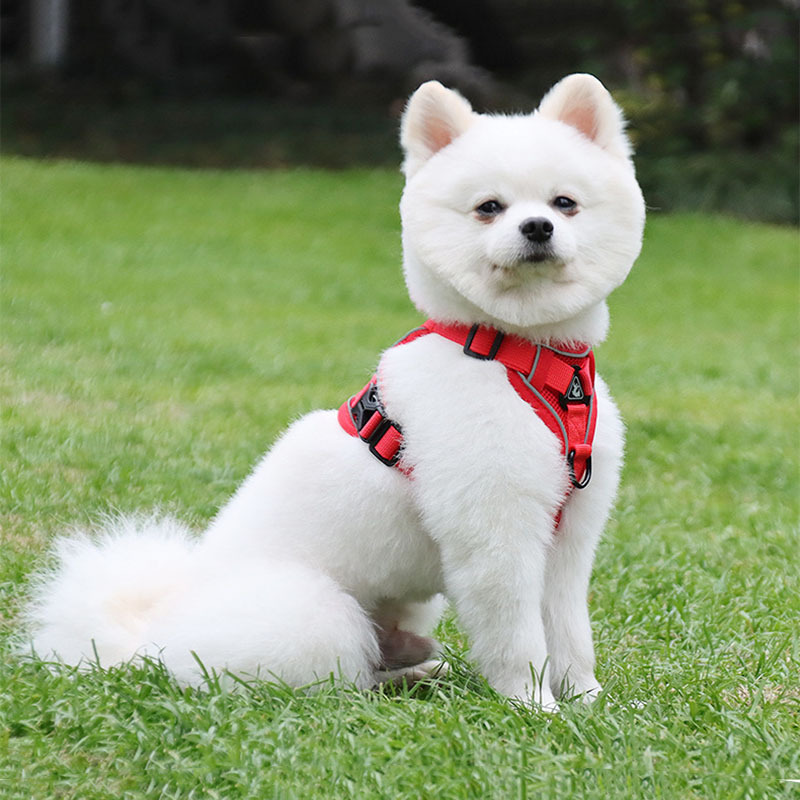 犬 ハーネス やわらか通気メッシュハーネス