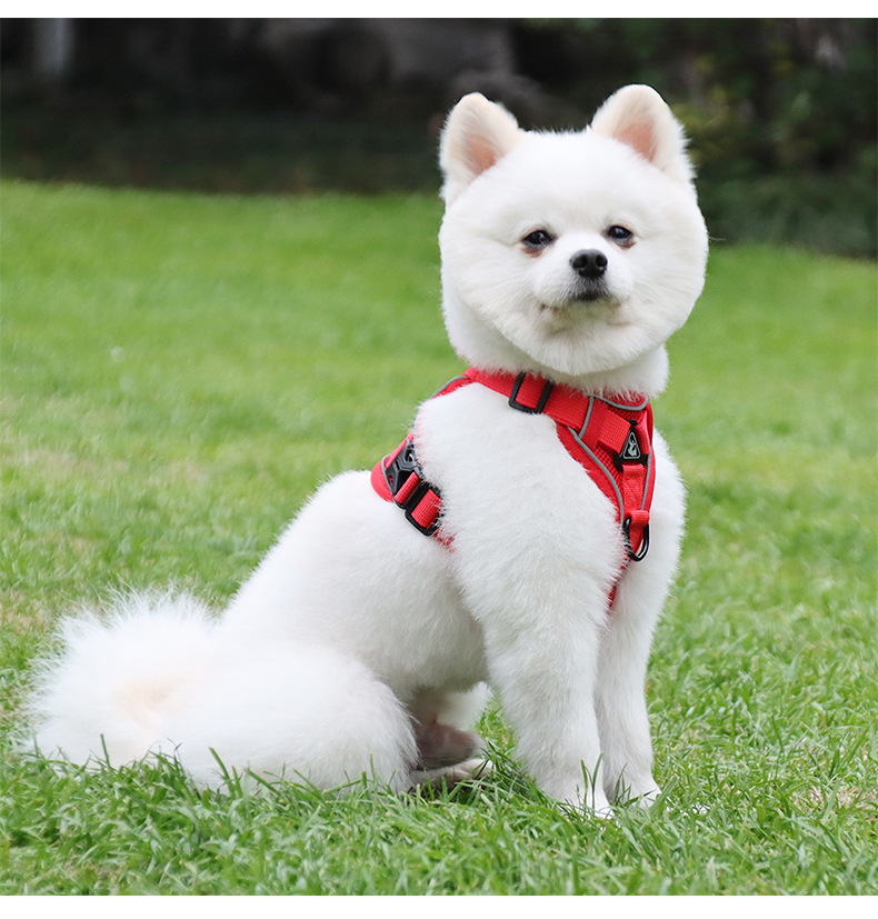 https://fulmo-img-server.com/wonderfulharness/f0bd93f2-5391-40b6-b4ca-e96bc4cd92d5.jpg