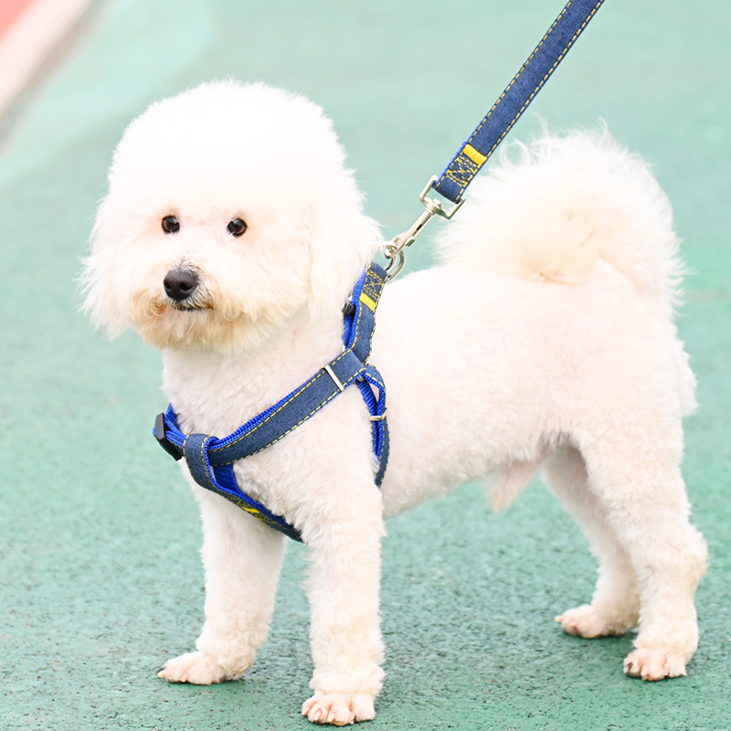 犬 ハーネス なめらか曲線美 ハーネス