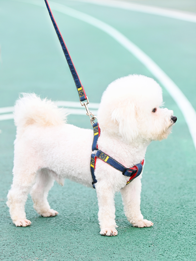 犬 ハーネス なめらか曲線美 ハーネス