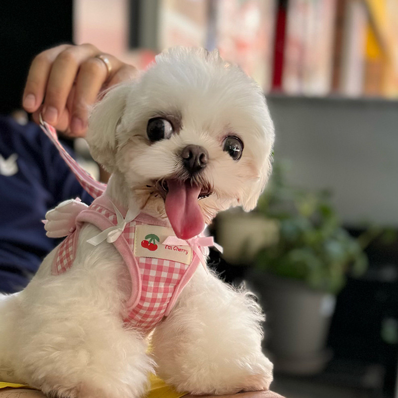 犬 ハーネス 天使の羽根付きチェック柄ハーネス