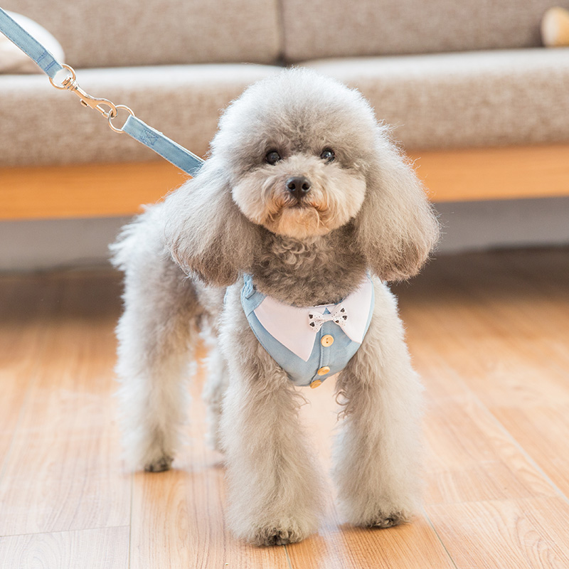犬 ハーネス レース付きリボンハーネス