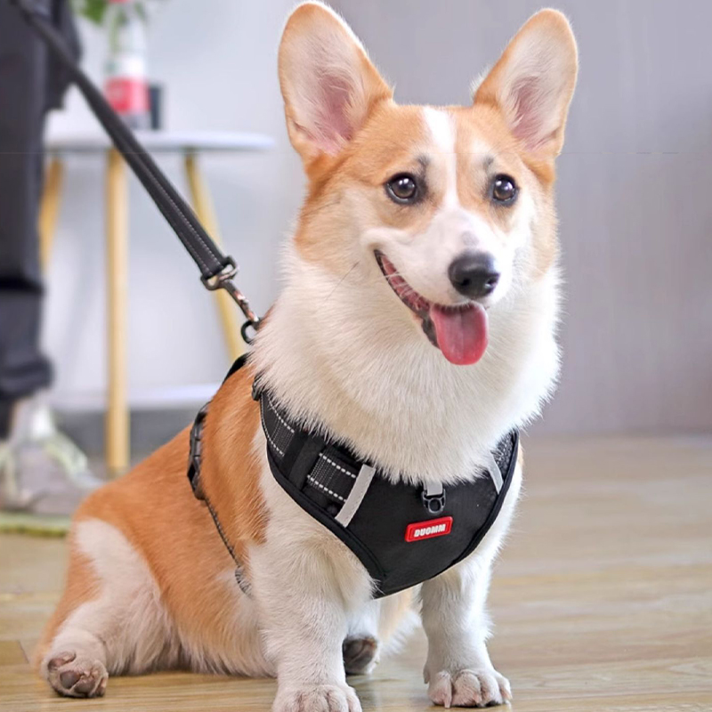 犬 ハーネス やさしさ包む ふんわりハーネス