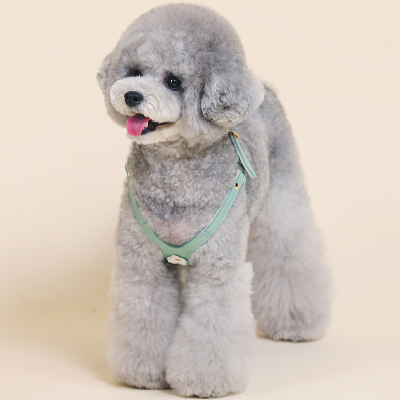犬 ハーネス やわらか革調ハーネス