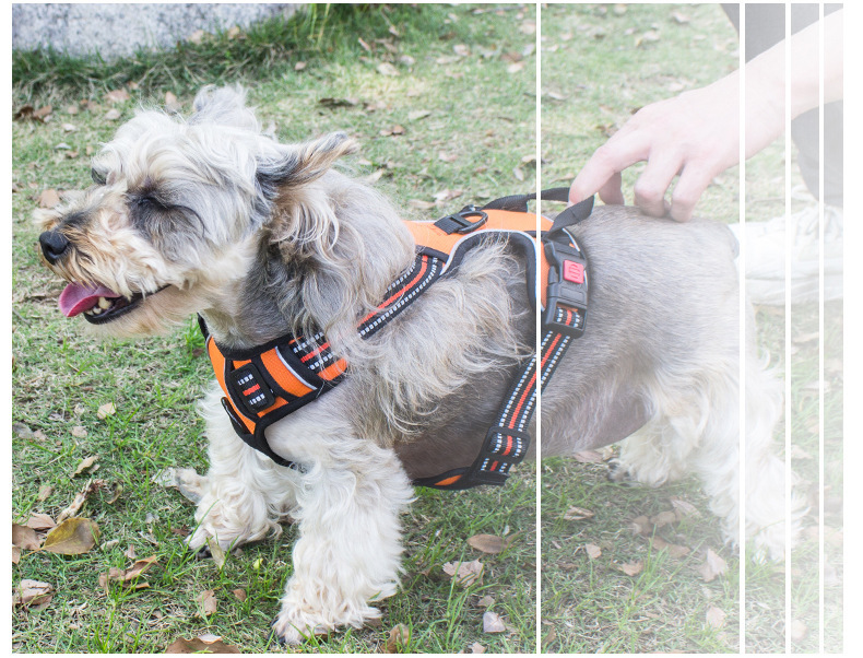 犬 ハーネス メッシュフィット 快適ハーネス