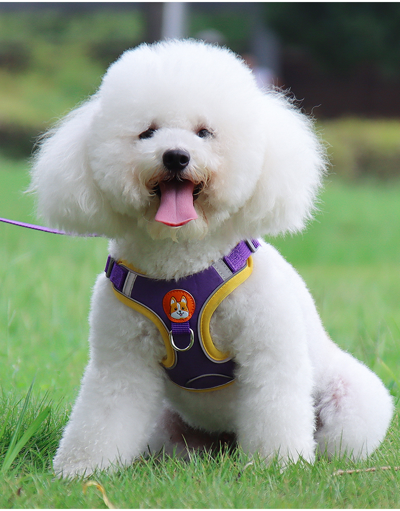 犬 ハーネス やさしい散歩ハーネス＆リードセット