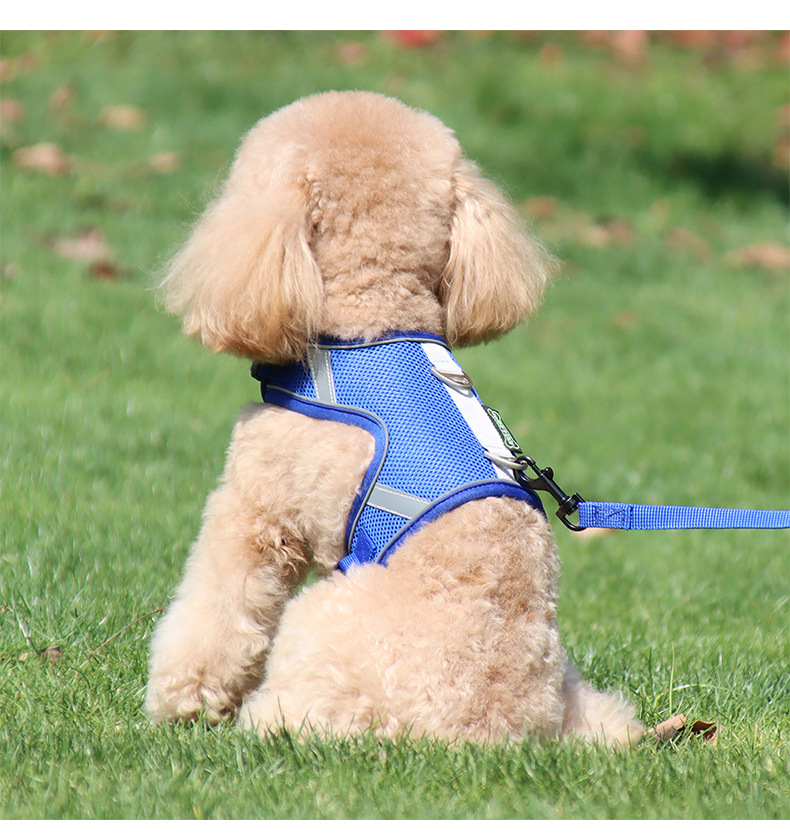 犬 ハーネス ふんわり快適メッシュハーネス