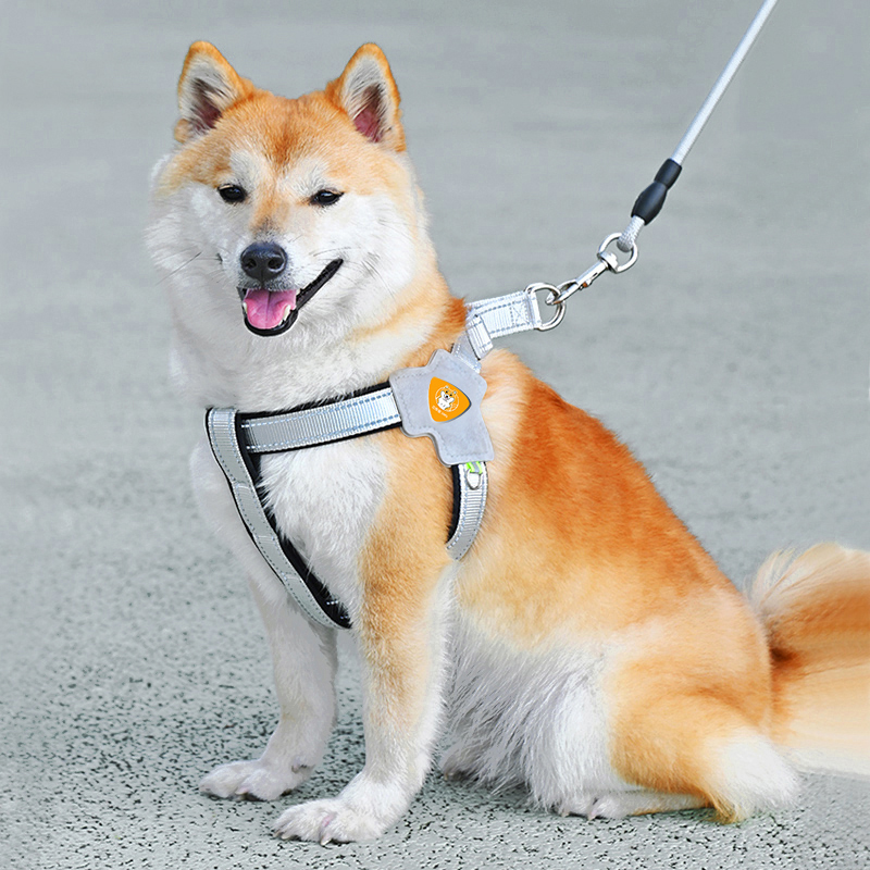 https://fulmo-img-server.com/wonderfulharness/f3544acb-88d5-456d-9ffd-6c2aebf674a5.jpg