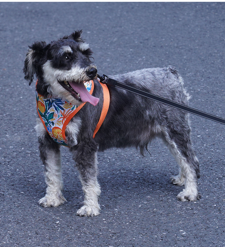 犬 ハーネス 爽やかトロピカル ペットハーネス