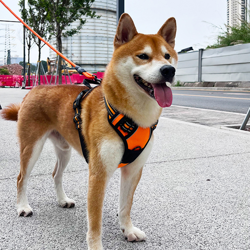 犬 ハーネス シンプル調整ベストハーネス